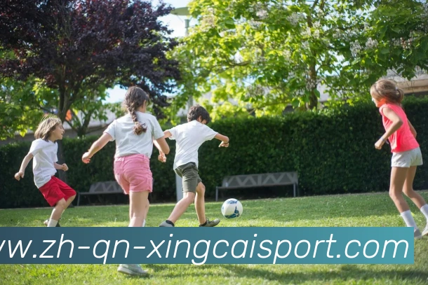 杏彩体育品牌故事