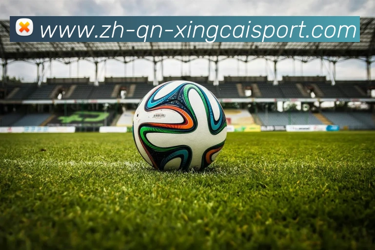 杏彩体育服务体系